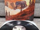 Weezer - Everything Will Be Alright in the End Lp B002162101 Vinyl 2014 VG+
