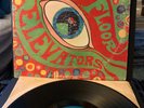 THE 13TH FLOOR ELEVATORS 