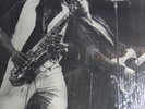BRUCE SPRINGSTEEN - THE GREAT WHITE BOSS (2 LPs) - US 76 - MINT-NM