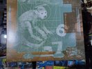 Pixies Doolittle Vinyl Record Original Master Recording Numbered Limited Edition