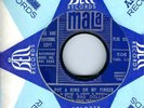 RARE TEEN GIRL GROUP- THE RAG DOLLS- 