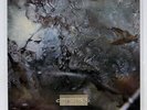 COCTEAU TWINS HEAD OVER HEELS SMS SP255083 JAPAN VINYL LP