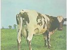 Pink Floyd Atom Heart Mother RED VINYL + INSERT Odéon Vinyl LP