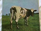 Pink Floyd ‎– Atom Heart Mother, ‎1986 pressing harvest records classic LP vinyl