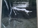 Bill Evans - Jim Hall – Undercurrent – Mobile Fidelity Sound Lab MFSL Mofi Vinyl