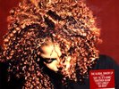 Janet Jackson - The Velvet Rope (Vinyl LP - 1997 - CA - Reissue)