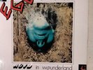 LP - Ego On The Rocks - Acid in Wunderland / Jupiter Records - Krautrock