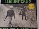 Lemonheads - Hate Your Friends - Vinyl LP 1987 - Clear Vinyl Punk