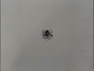 A Perfect Circle Eat the Elephant Deluxe box set (Tool, Puscifer, Maynard Keenan