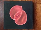 Peter Gabriel Scratch My Back Collectors Edition - AUTHENTICATED Signature #275