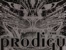 The Prodigy - Charly (12
