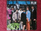 Sehr rare Single von Episode Six (Pre Deep Purple) – I Can See Through You