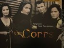 The Corrs Forgiven Not Forgotten Vinyl LP New Sealed