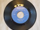 45 RPM *RARE* THE EMULATIONS/STORY OF MY LIFE/MY CHRISTMAS TREE EMULATE VG+