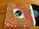 LP US 1979 The 13th Floor Elevators – The Psychedelic Sounds Of The 13th Floor