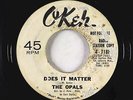 Northern Soul 45 - Opals - Does It Matter - Okeh