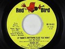 Northern Soul 45 - Roddie Joy - If There's Anything Else - Red Bird VG++
