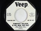 Northern Soul 45 - Timothy Wilson - He Will Break Your Heart - Veep - VG+