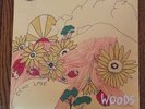 WOODS - At Echo Lake - Vinyl - **BRAND NEW/STILL SEALED** - RARE