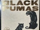 Black Pumas Collector's Edition 7