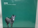 HUM YOU'D PREFER AN ASTRONAUT LP