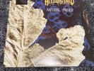 HELLBASTARD Natural Order LP 1990 Earache Records UK Thrash Heavy Metal Vinyl