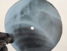 BEATLES OH DARLING X-Ray USSR Record Roentgen Bones Ribs Music Vinyl