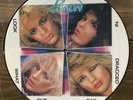 POISON / Look What The Cat Dragged In 1986 UK 10-track vinyl LP Picture Disc NM