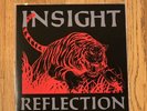 Insight Reflection LP Red/Black Vinyl Mission Two 2020 Gorilla Biscuits Underdog
