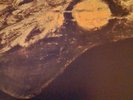 ROGER WEBB SOUND MOONSHADE DE WOLFE LIBRARY LP NM