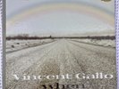 Vincent Gallo, When, Rare Vinyl LP, Warp Recordings (EX/VG+)