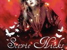 Stevie Nicks - Live At The Summit 1989: Houston, TX, October 6th