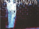 PIG DESTROYER - Book Burner - Vinyl (white blue & red splattered vinyl LP)