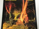 Echo and the Bunnymen - Crocodiles LP Vinyl Record - K 58175