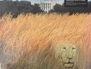 Big Game By White Lion (Vinyl 2024)