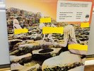 LED ZEPPELIN Houses Of The Holy (1973) 1st Press Record Club Edition HYPE