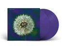 Pre Sale: 2024-03-01 | The Bevis Frond | Purple Vinyl LP | Focus
