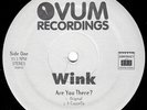 Josh Wink - Are You There ? (12