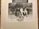 The Lemonheads: Creator--Rare Test Pressing--Taang --1988