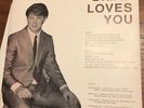 Brian Wilson-Brian Loves You album
