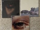 Beady Eye 7” Records Liam Noel Gallagher Brit Pop Rock Indie Stone Roses Pulp