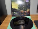 Fleetwood Mac - Tango In The Night (LP, Album) 180 Gram Vinyl Record