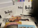 The Beatles in Mono [Vinyl Box Set] by The Beatles (Vinyl, Sep-2014, 14...