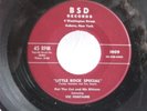 Pat The Cat & His Kittens,BSD 1009
