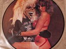 Iron Maiden  Pic Disc Vinyl Record LP