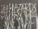The Decemberists ‎– The Hazards Of Love (2009) Vinyl 2LP Capitol 180Gram