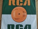 RARE JUNKSHOP GLAM PROTO-PUNK 45 The Jook Bish Bash Bosh RCA LPBO5024 NM TOP