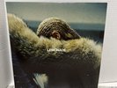 BEYONCE LEMONADE VINYL LIMITED YELLOW LP  FORMATION SORRY HOLD UP ALL NIGHT