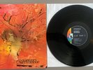 DOLDINGERS MOTHERHOOD - Motherhood 1970 LIBERTY Psych Prog Rock Vinyl LP