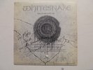 SIGNED David Coverdale WHITESNAKE Still Of The Night GEFFEN *Promo* MINT-